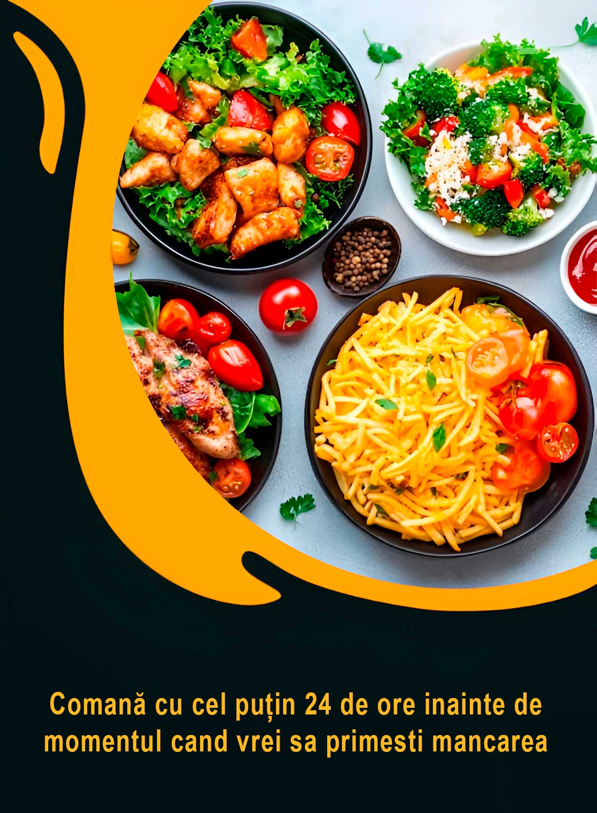 comanda mancare gatita bucuresti